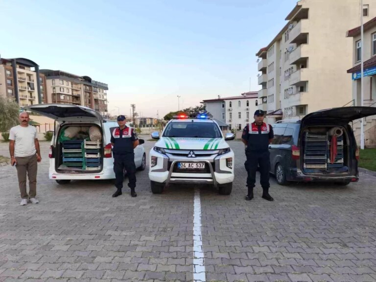 agrida-kacak-kurbaga-operasyonu-mKrnfzdM.jpg