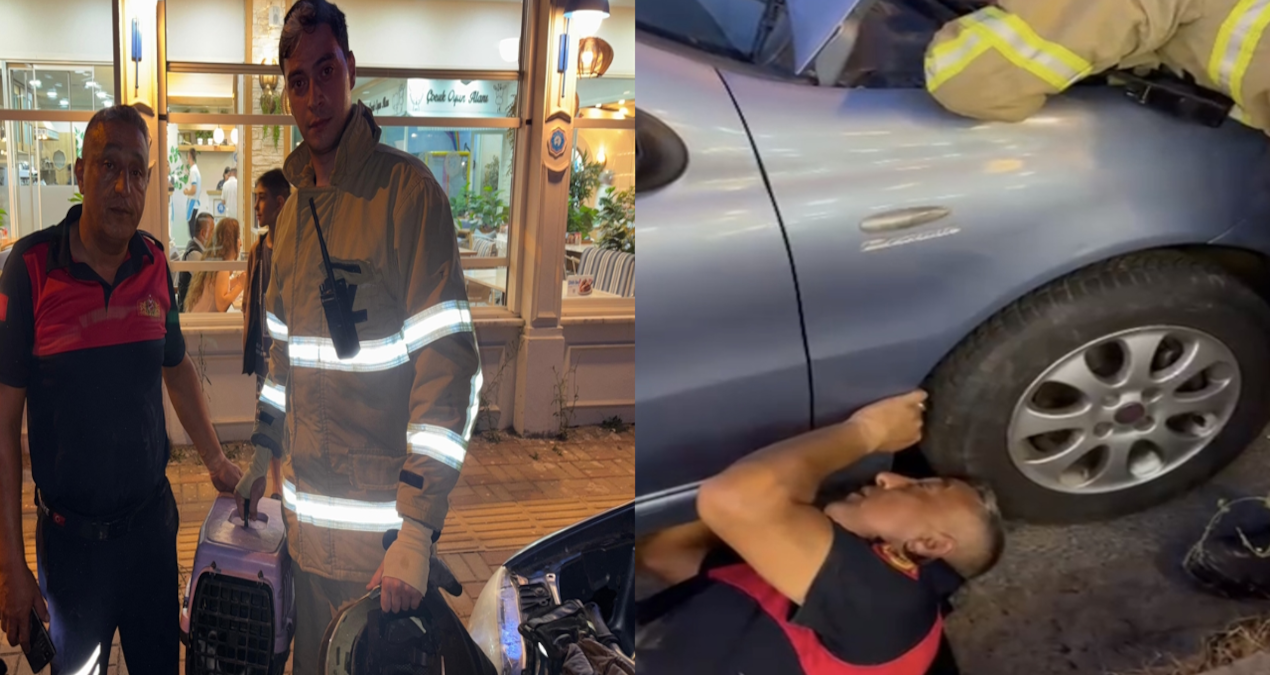Otomobilin motoruna sıkışan yavru kediyi böyle kurtardılar