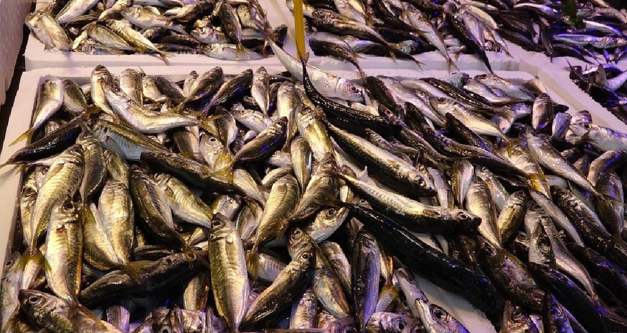 Yasak bitti balık tezgahları şenlendi: İstavrit, mezgit, çipura ve somonun fiyatı belli oldu