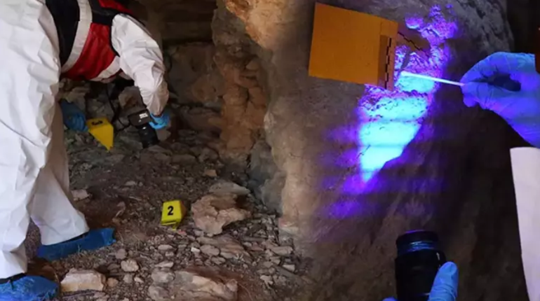 Cinayet Soruşturması