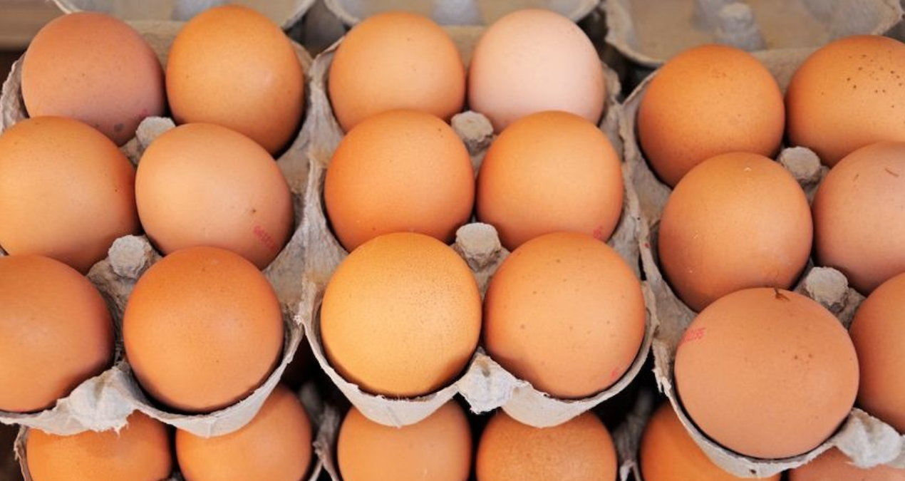 yumurta krizi kapida uretimde sert dusus XZiPlbHR.jpg