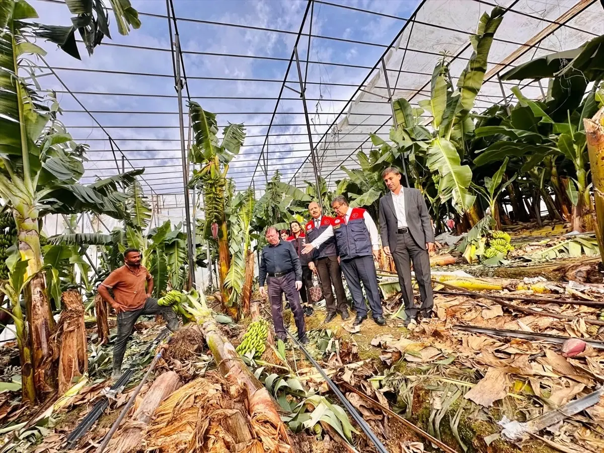 Bozyazı’da Hortum Zararını İnceledi