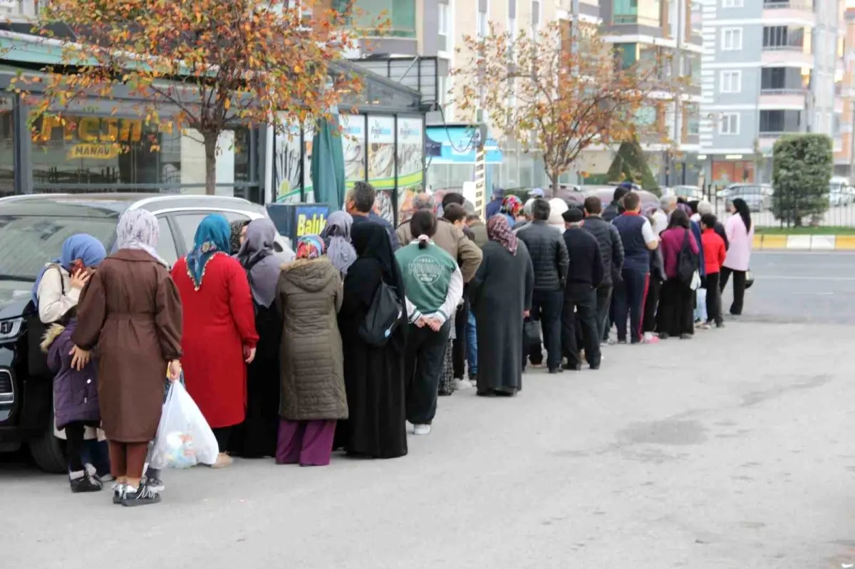 Çorum’da Hamsi Kuyruğu