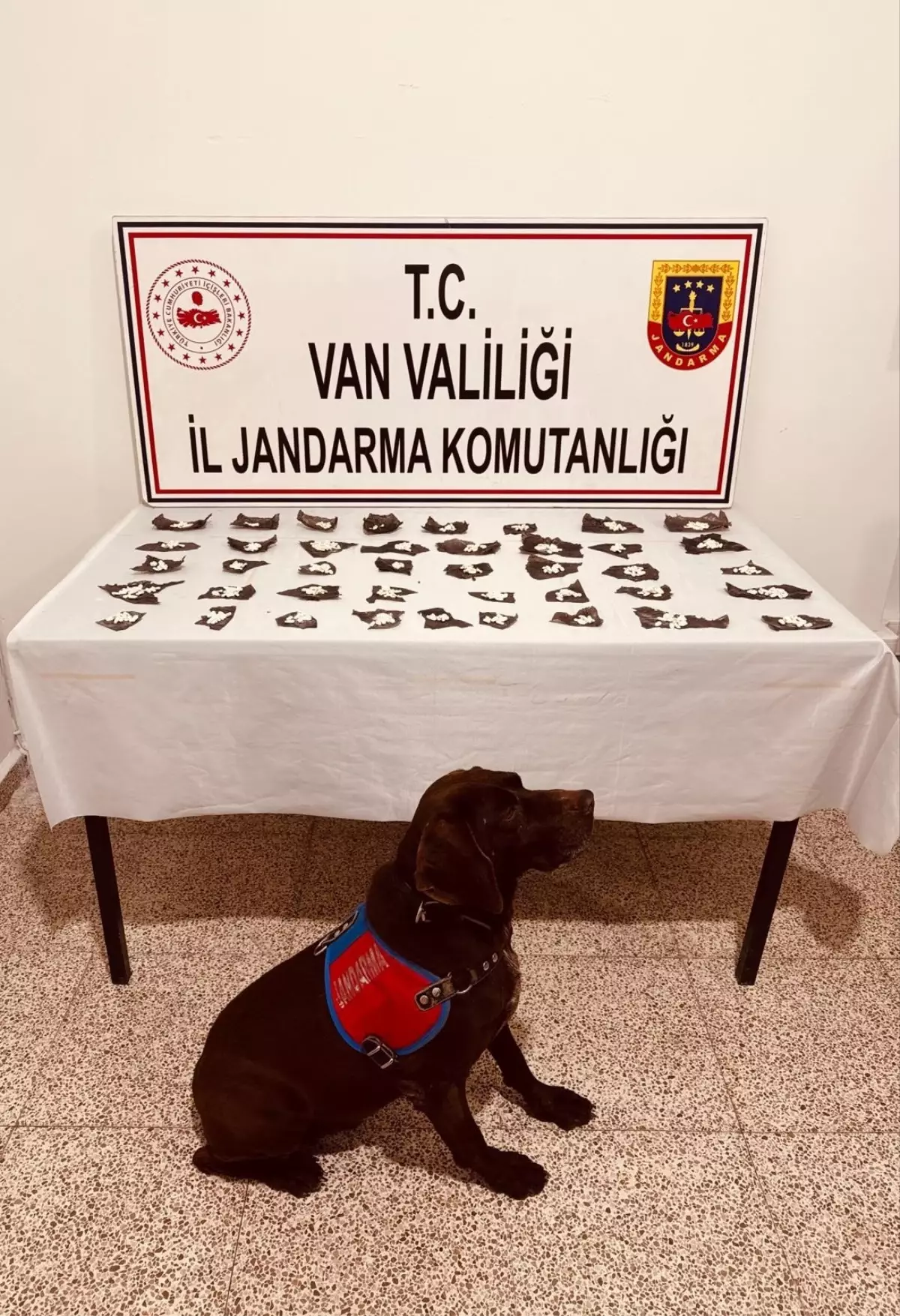 VAN’da Bonzai Operasyonu: 171 Gram Ele Geçirildi