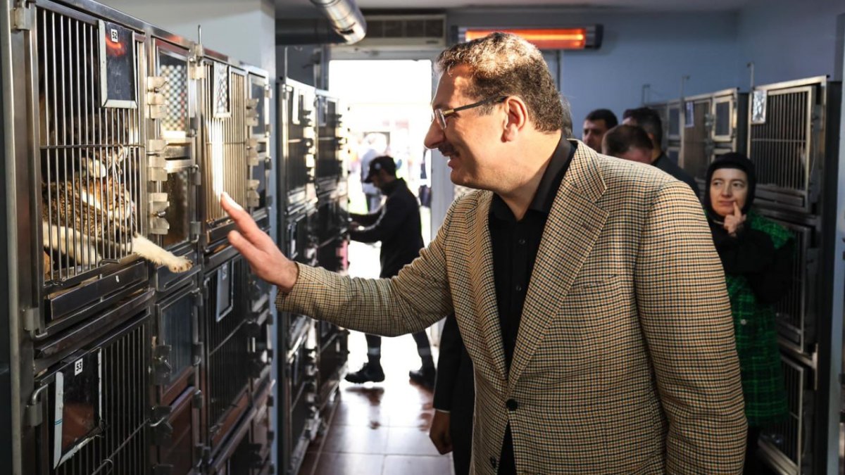 Sakarya ‘Sokak Hayvanları Doğal Yaşam Kampüsü’ ile bir ilke imza attı