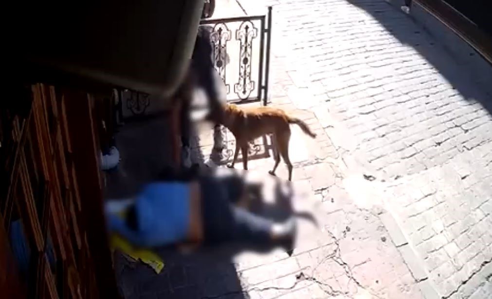 Sara nöbeti geçiren adamın kıyafetine kadar çaldılar