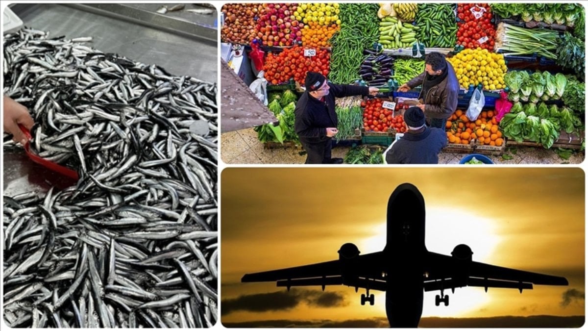 Aralık 2025’te fiyatı en fazla artan ürün ‘taze balık’ oldu