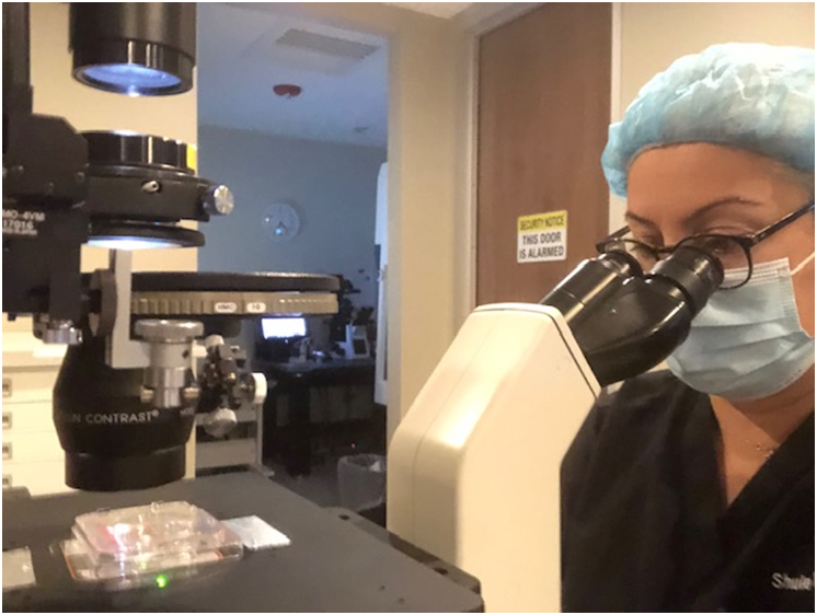 ABD Tüp Bebek Sektöründe Türk Kadınının Yükselişi