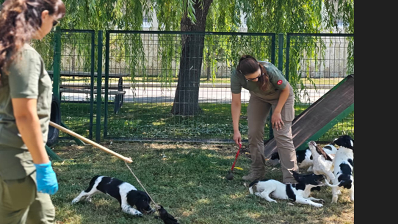 3 aylikken baslayan zorlu maraton hassas burunlar sahaya iniyor RDZwP2M1