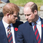 William kral olunca harry hicbir sey alamayacak tAZvEXdr
